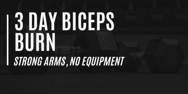 3 Day Biceps Burn