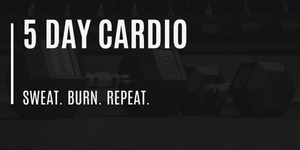 5 Day Cardio